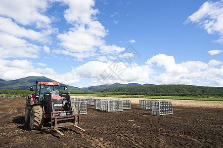 农村机械收割作物的场景图片
