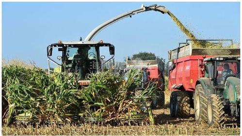 法国西北部农民收割农作物.(法新社图)
